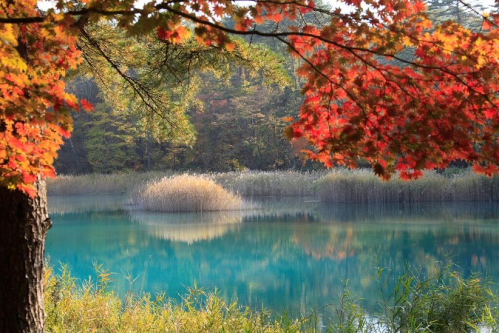 1200x800_0b4f3664209e9e9545a23215b7b383c2