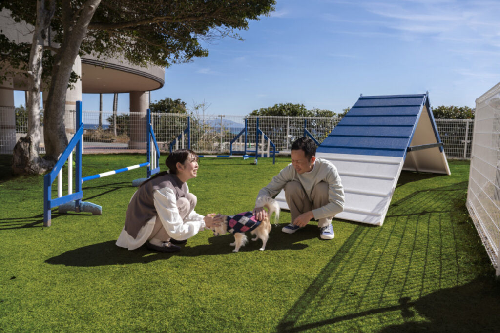 1200x800_a2d7415d2dba12c97a900d70731cf580