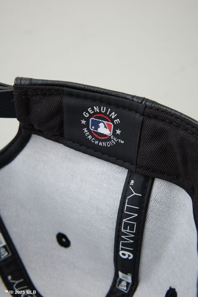 zz-251IAX56-2101_027-12